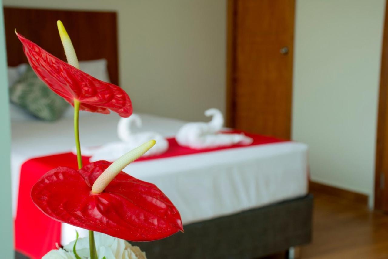 Hotel La Palmera De Oro 타라포토 외부 사진